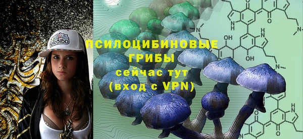 спиды Богородск