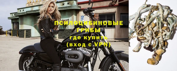 спиды Богородск