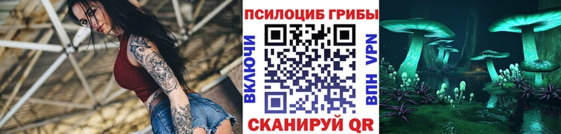 Галлюциногенные грибы Psilocybe  omg ONION  даркнет формула  Челябинск 